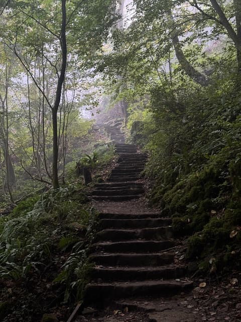 Mullerthal — travel photo